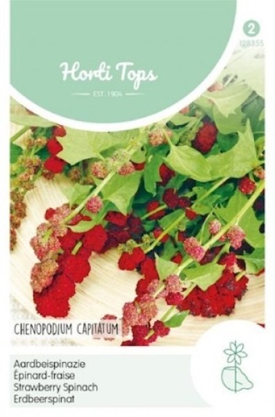 128355 jahodovy spenat_500x500